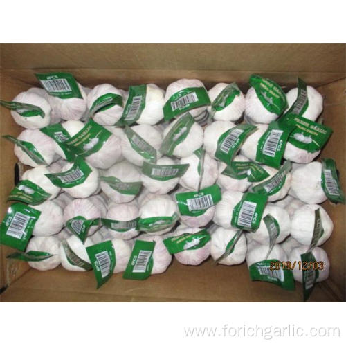 Hot Sale Normal White Garlic 2019